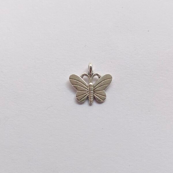 big Butterfly
