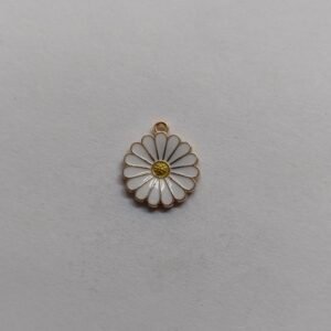 white daisy