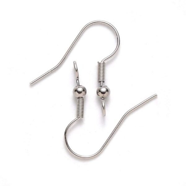 silver  Earrings hooks / pairs
